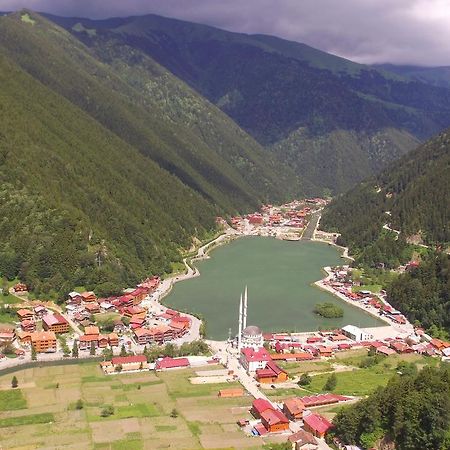 Zeren Apart Bungalov Uzungol Bagian luar foto