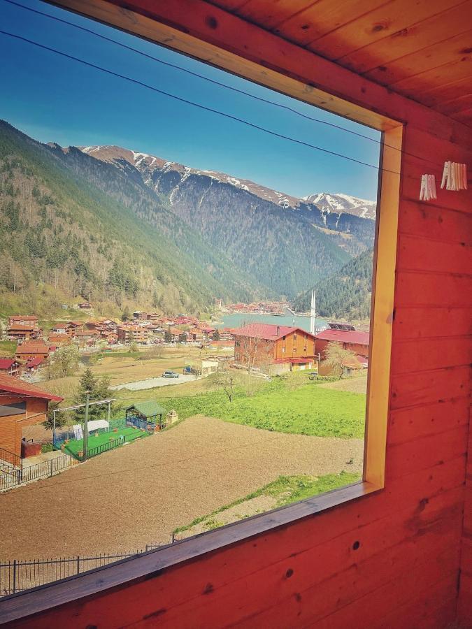 Zeren Bungalov Aparthotel Uzungol Bagian luar foto