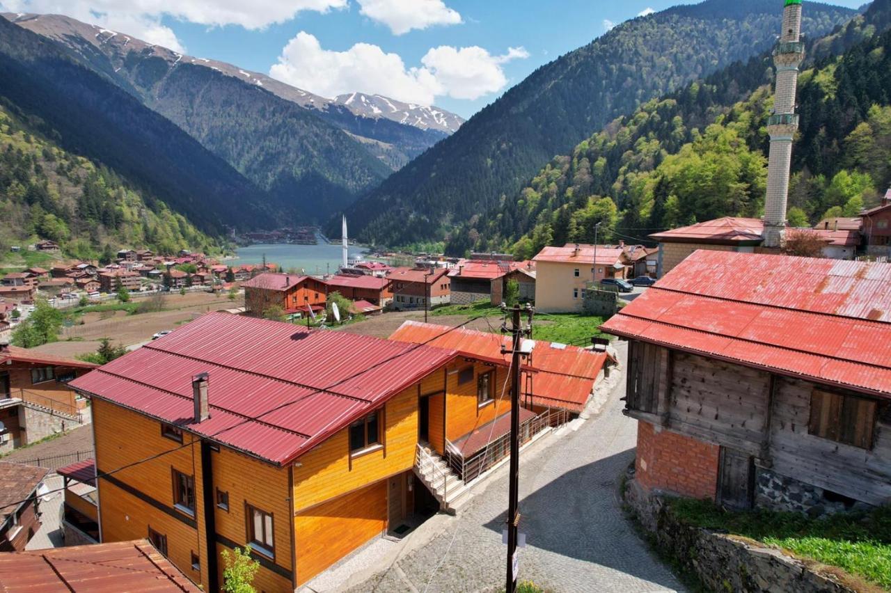 Zeren Bungalov Aparthotel Uzungol Bagian luar foto