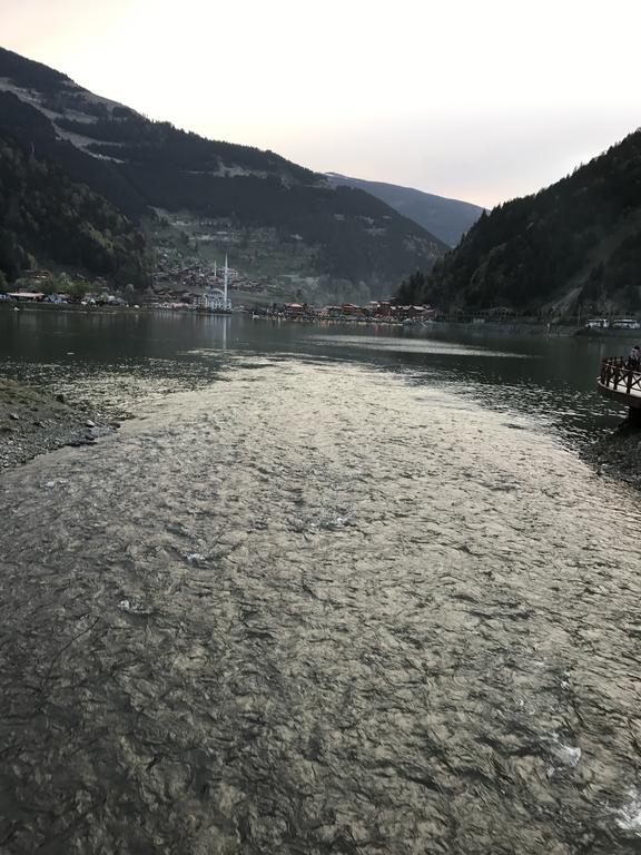 Zeren Bungalov Aparthotel Uzungol Bagian luar foto