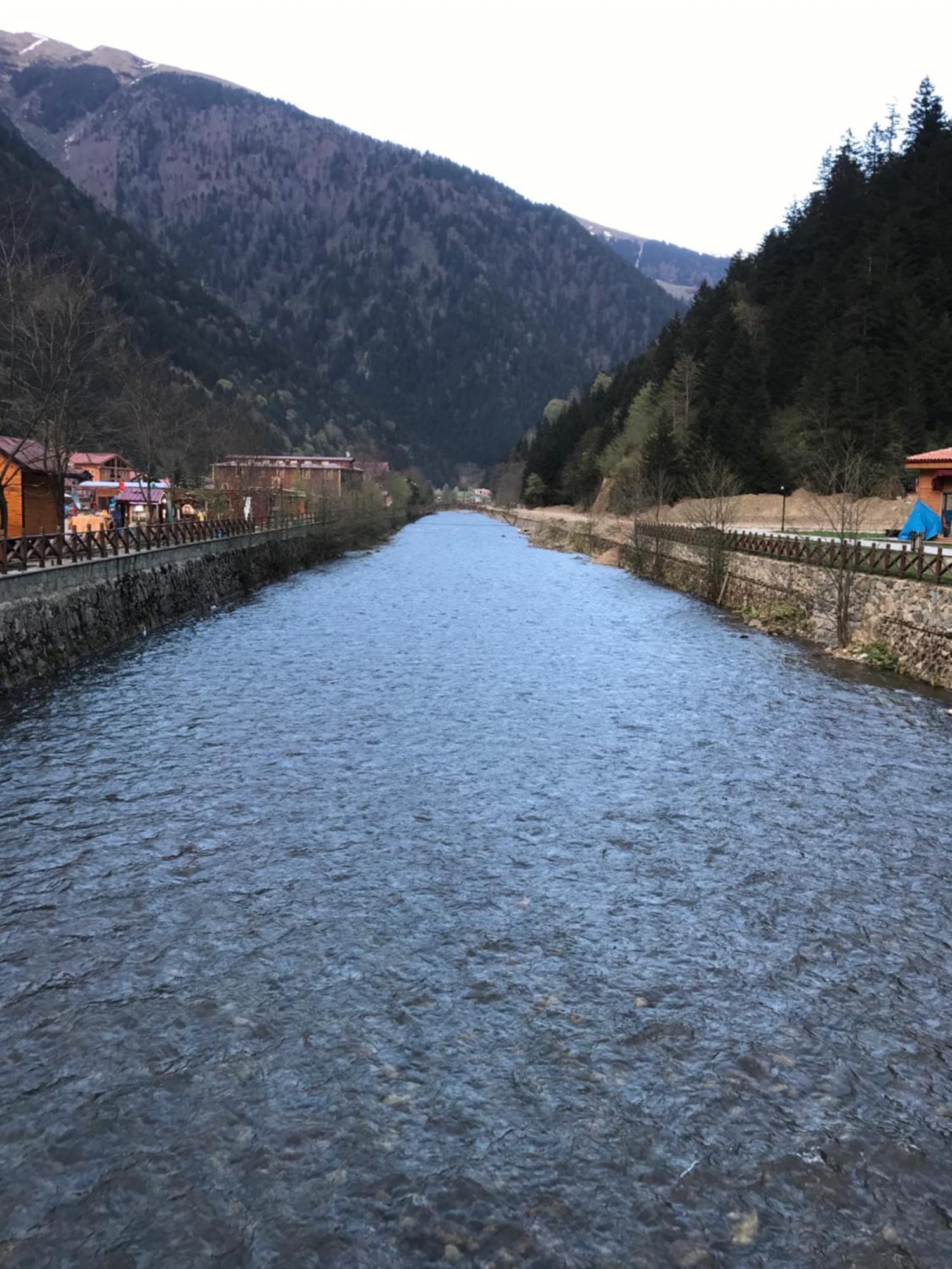 Zeren Bungalov Aparthotel Uzungol Bagian luar foto