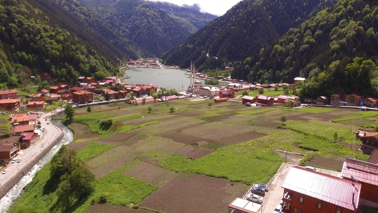 Zeren Apart Bungalov Uzungol Bagian luar foto